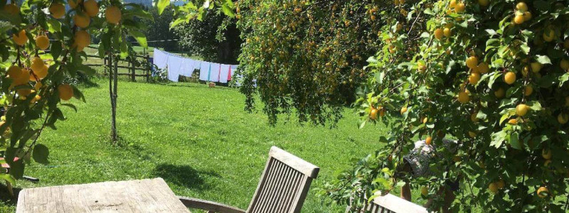 nachhaltige unterkuenfte in deutschland urlaub in der natur auf dem land mit kindern in den bergen mit der familie bayern voralpenland gutshof achatswies ferienwohnung marillenbaum sommer