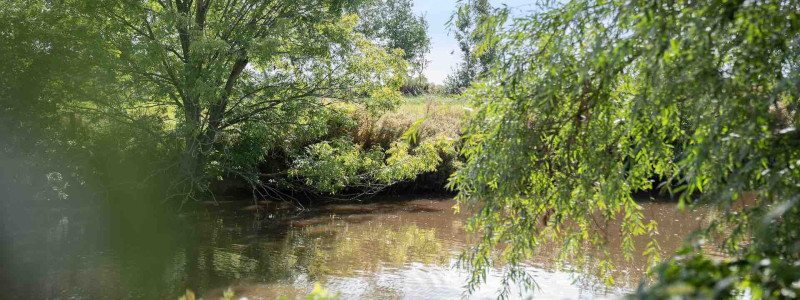 harlepadd ferienhaus neufunnixsiel nordsee die harle fluss
