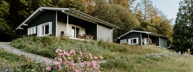 Harzverbunden Waldquartier