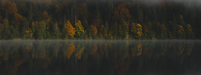 harzverbunden waldquartier holzhaeuser natur harz holz urlaub mit kindern familienurlaub auszeit mit freunden yoga retreat teamevents veranstaltungen tipi zelt kraftort naturverbundenheit stimmungsbild