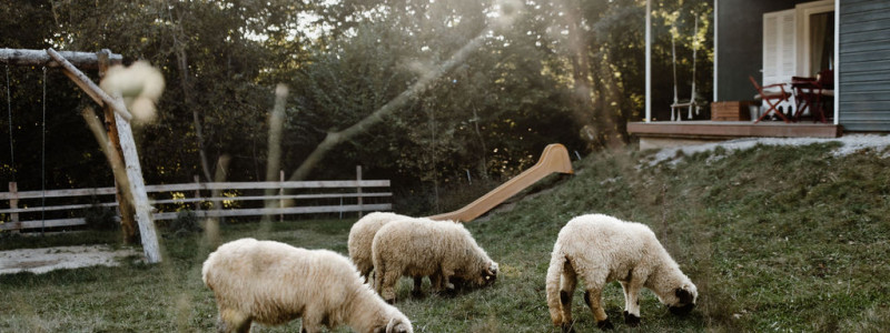 Harzverbunden Waldquartier