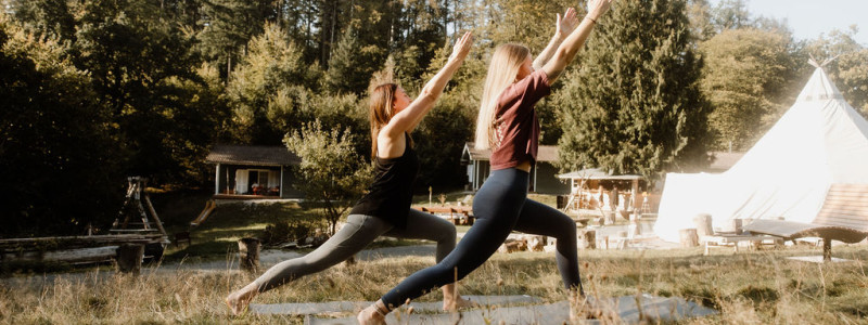 Harzverbunden Waldquartier