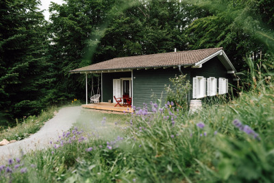Harzverbunden Waldquartier