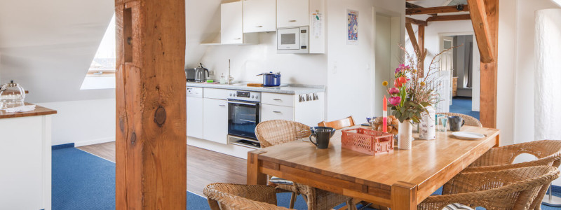 hejnielsons fehmarn ostsee urlaub mit kindern am meer in der natur nachhaltige ferienwohnungen umweltbewusst permakulturgarten ökostrom ökogas offene kueche silvia