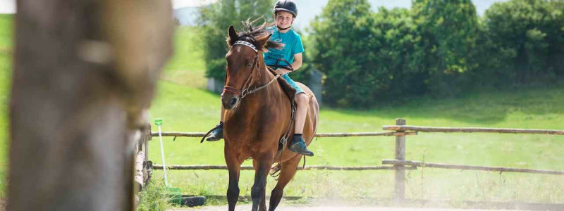 Hof Gottenau