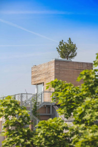 creativhotel luise bayern franken erlangen urlaub in deutschland erstes klimapositives hotel staedtereise geschaeftsreise baum auf dem dach