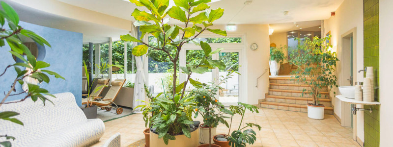 Hotel Luise