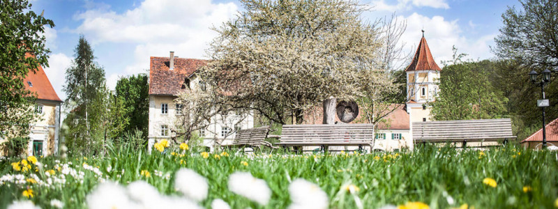 nachhaltige unterkuenfte in deutschland urlaub auf dem land in der natur gemeinwohlprinzip solidarische landwirtschaft hotel schloss blumenthal gruppen seminare fruehling alles blueht