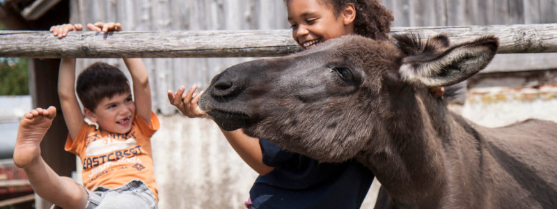 Hotel Schloss Blumenthal
