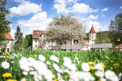 nachhaltige unterkuenfte in deutschland urlaub auf dem land in der natur gemeinwohlprinzip solidarische landwirtschaft hotel schloss blumenthal gruppen seminare fruehling alles blueht
