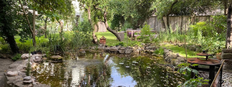 steigerwald franken into the green eco resort glamping zelte yoga retreat urlaub in der natur biologischer gemueseanbau tiere nachhaltiger tourismus teich