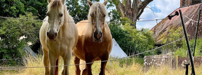 Into the Green ECO Resort