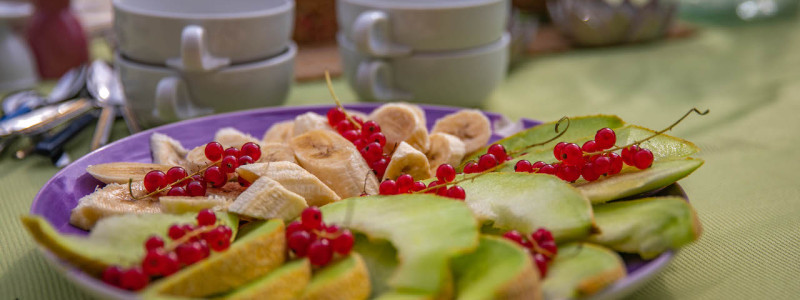 steigerwald franken into the green eco resort glamping zelte yoga retreat urlaub in der natur biologischer gemueseanbau tiere nachhaltiger tourismus fruehstueck obst