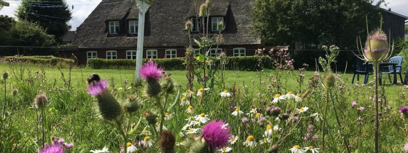 janbecks fairhaus gelting ostsee klimapostives nachhaltige hotel schleswig holstein flensburger foerde nachhaltiges autarkie kreislaeufe gutes essen saisonalitaet regionalitaet lokale produzenten insektenparadies hinterm haus