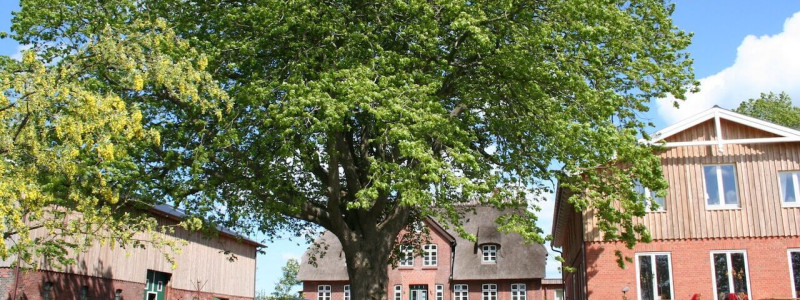 janbecks fairhaus gelting ostsee klimapostives nachhaltige hotel schleswig holstein flensburger foerde nachhaltiges autarkie kreislaeufe gutes essen saisonalitaet regionalitaet lokale produzenten der hof mit allen drei gebaeuden