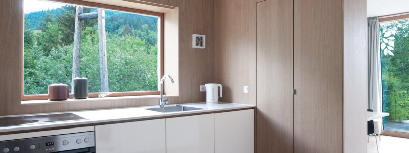 jotvier jungholz ferienwohnung allgäu urlaub in den bergen in der natur mit der familie mit hund nachhaltige bauweise heimische natürliche hölzer baumaterialien küche mit blick nach draussen