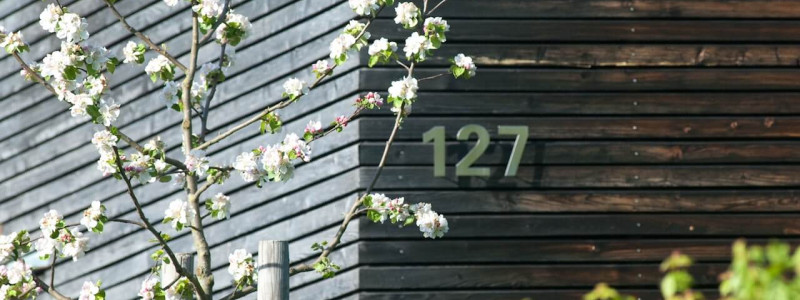 jotvier jungholz ferienwohnung allgäu urlaub in den bergen in der natur mit der familie mit hund nachhaltige bauweise heimische natürliche hölzer baumaterialien kirschblüte