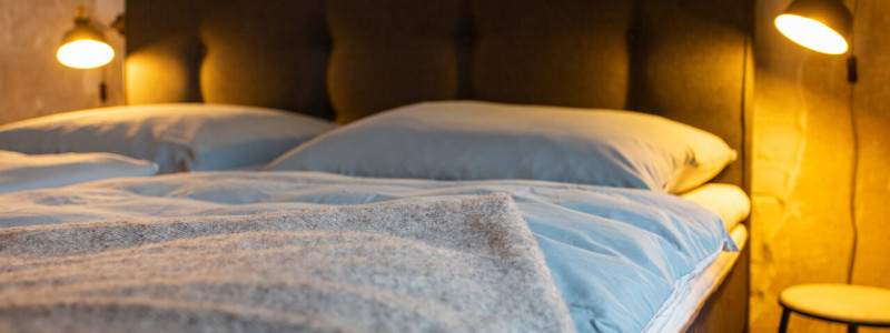 koenigliche oberfoersterei sankt andreasberg kofa 1895 ferienapartments oberharz berge in der natur mit kindern gruppe grossfamilie nachhaltiger tourismus klimafreundlich wohngesund seminare apartment no. 1 erdgeschoss schlafzimmer kopfteil lampen