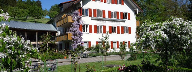 nachhaltige unterkuenfte in deutschland urlaub in der natur auf dem land am wasser ruhig kinder familie landhotel martinsmuehlen bodensee hinterland im gruenen allgaeu lindau bechtersweiler front hotelansicht
