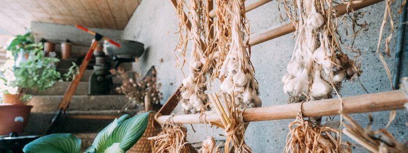 Landhotel Martinsmühle