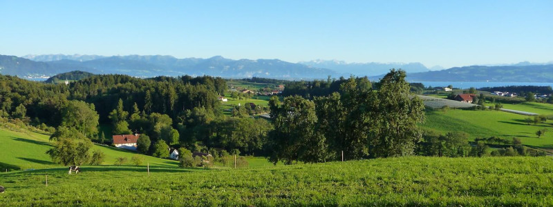 nachhaltige unterkuenfte in deutschland urlaub in der natur auf dem land am wasser ruhig kinder familie landhotel martinsmuehlen bodensee hinterland im gruenen allgaeu lindau bechtersweiler berge see schweiz oesterreich