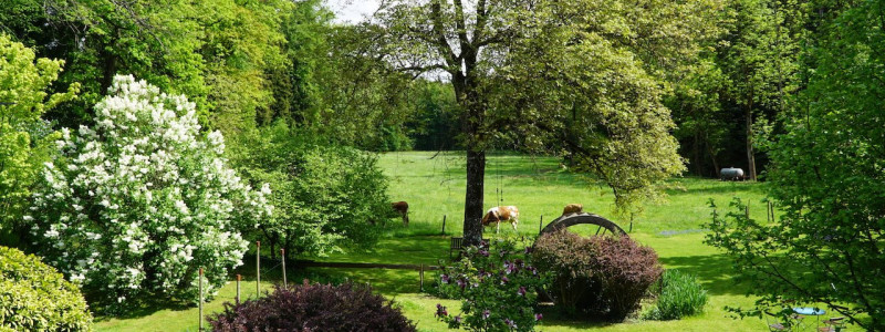 Landhotel Martinsmühle