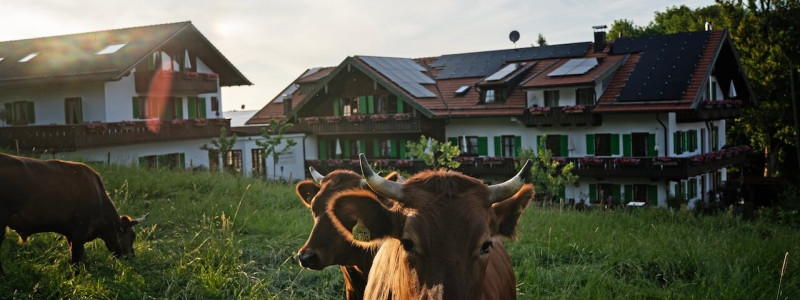 moor&mehr Bio-Kurhotel