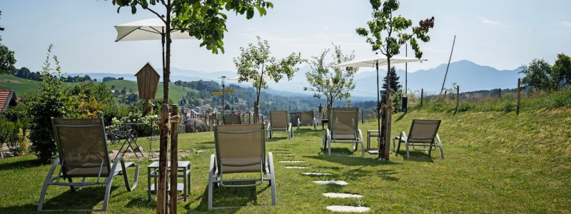 moor&mehr Bio-Kurhotel