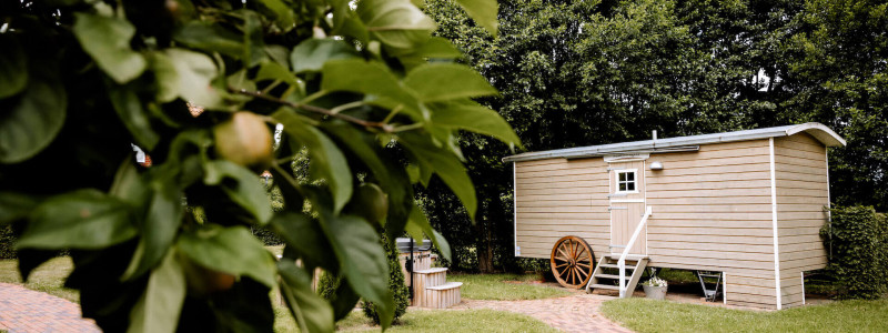 okelmann's hotel weserbergland niedersachsen entspannte achtsamkeit bewusster lifestyle yoga massage cafe restaurant regionale gesunde kueche vegan vegetartisch urlaub mit hund weserradweg saunawagen