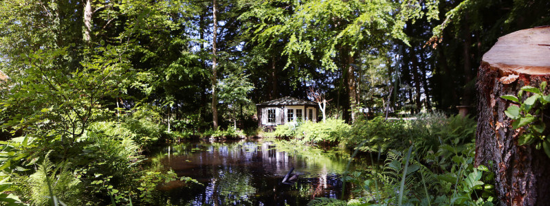 ort der zeit stentenmuehle schleswig holstein ferienwohnungen urlaub am wasser im gruenen in der natur mit hunden zwischen zwei meeren wasserkraftwerk teich im wald