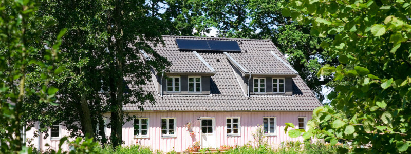 rosa haus ferienwohnung waabs halbinsel schwansen ostsee schleswig-holstein kappeln gluecksburg flensburg eckernfoerde urlaub im gruenen in der natur ruhe oekologisch sanierter haus wohngesundheit wildblumenwiese huehnerhaltung oekologische bienenhaltung haus