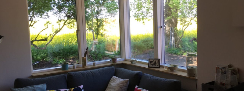 rosa haus ferienwohnung waabs halbinsel schwansen ostsee schleswig-holstein kappeln gluecksburg flensburg eckernfoerde urlaub im gruenen in der natur ruhe oekologisch sanierter haus wohngesundheit wildblumenwiese huehnerhaltung oekologische bienenhaltung sofaecke