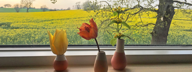 rosa haus ferienwohnung waabs halbinsel schwansen ostsee schleswig-holstein kappeln gluecksburg flensburg eckernfoerde urlaub im gruenen in der natur ruhe oekologisch sanierter haus wohngesundheit wildblumenwiese huehnerhaltung oekologische bienenhaltung blick vom sofa auf rapsfeld