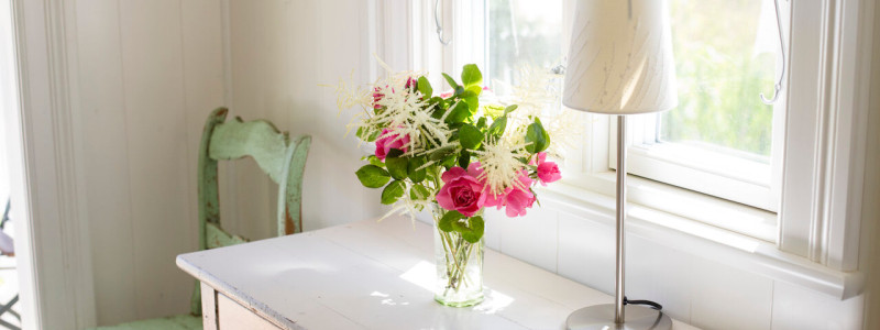 rügen natur urlaub in deutschland am meer am wasser an der ostsee mit familie mit kindern ökologische und natürliche bauweise nachhaltige unterkunft ferienhaus ferienwohnung boddenlandschaft neuendorfer wiek naturschutzgebiet sauna vorraum