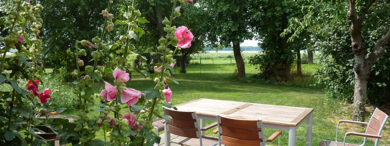 rügen natur urlaub in deutschland am meer am wasser an der ostsee mit familie mit kindern ökologische und natürliche bauweise nachhaltige unterkunft ferienhaus ferienwohnung boddenlandschaft neuendorfer wiek naturschutzgebiet terrasse rosen