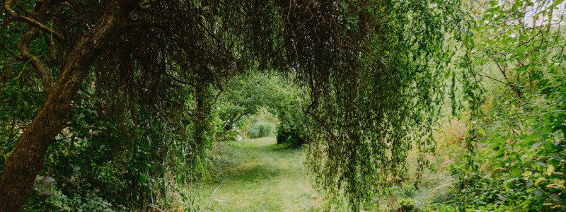 nachhaltige unterkunft straeumli bed and breakfast bodenseehinterland ökologisch betriebener hof urlaub auf dem hof streichelzoo urlaub mit kindern permakultur natur ruhe auszeit abgeschiedenheit denkmalschutz gruene oase garten