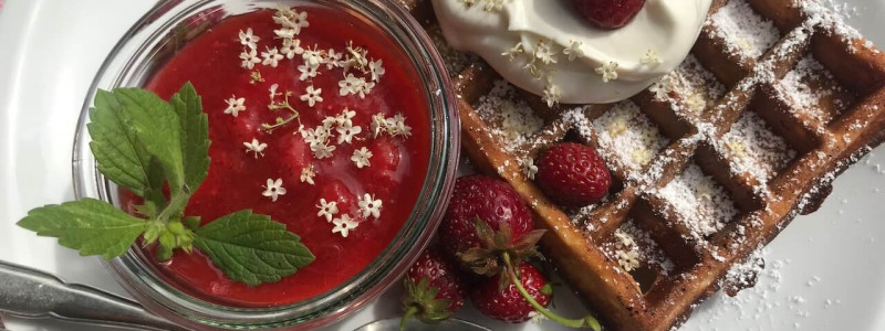 Sande Sieben Schleswig Holstein Land Pension Cafe Biosphärenreservat Schaalsee Urlaub auf dem Land Urlaub mit Kindern Urlaub am Wasser Denkmalschutz Hof Landleben Landlust regionale saisonale frische Küche Waffel
