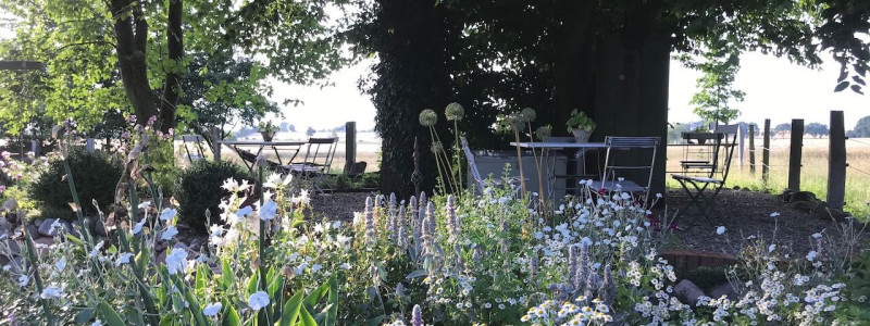 Sande Sieben Schleswig Holstein Land Pension Cafe Biosphärenreservat Schaalsee Urlaub auf dem Land Urlaub mit Kindern Urlaub am Wasser Denkmalschutz Hof Landleben Landlust regionale saisonale frische Küche der Garten