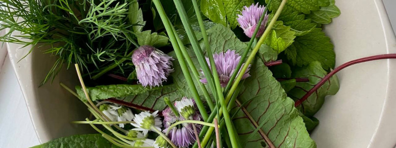 Sande Sieben Schleswig Holstein Land Pension Cafe Biosphärenreservat Schaalsee Urlaub auf dem Land Urlaub mit Kindern Urlaub am Wasser Denkmalschutz Hof Landleben Landlust regionale saisonale frische Küche Salat aus dem eigenen Garten