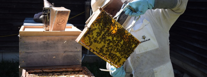 Schöngeister Urlaub