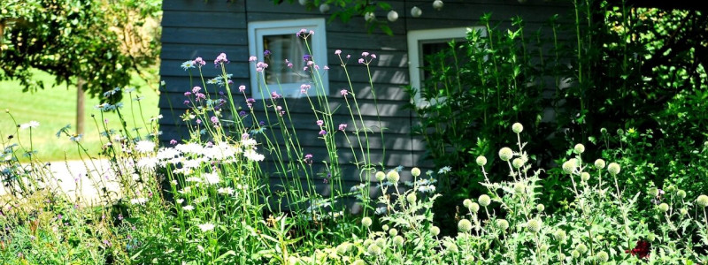 Schöngeister Urlaub