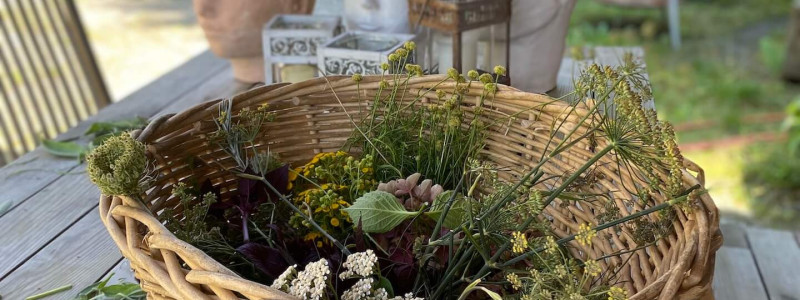 Schöngeister Urlaub