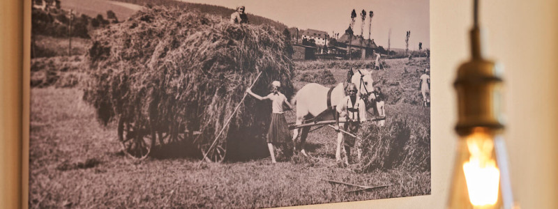 stadtalm toelzer land bad toelz urlaub in deutschland voralpenland in der natur in bayern in den bergen auf dem land im gruenen nachhaltige oekologische unterkunft holz lehm bienen lamas kubische bauweise alpinarchitektur ferienwohnung isarflimmern karwendelrauschen die alte stadtalm urgrossvater