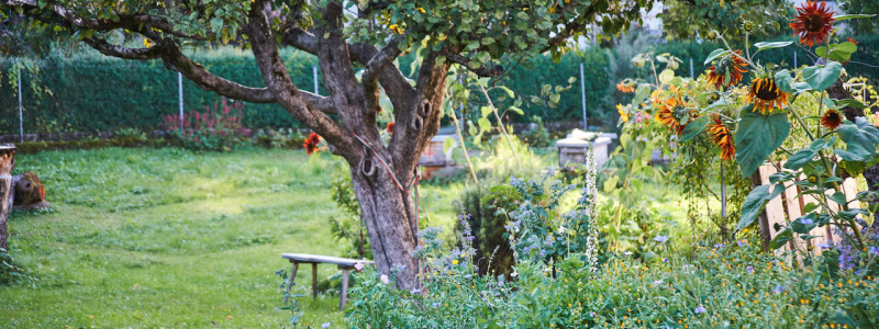 stadtalm toelzer land bad toelz urlaub in deutschland voralpenland in der natur in bayern in den bergen auf dem land im gruenen nachhaltige oekologische unterkunft holz lehm bienen lamas kubische bauweise alpinarchitektur bauerngarten