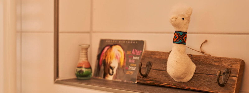 stadtalm toelzer land bad toelz urlaub in deutschland voralpenland in der natur in bayern in den bergen auf dem land im gruenen nachhaltige oekologische unterkunft holz lehm bienen lamas kubische bauweise alpinarchitektur badezimmer detail