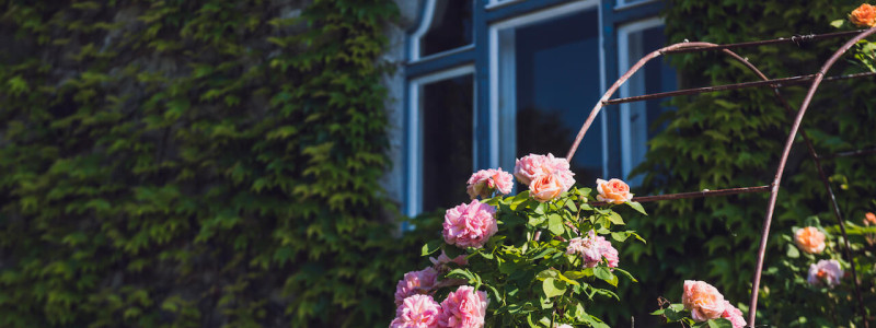 villa breitenberg bayerischer wald nachhaltige unterkunft boutiquie hotel ferienwohnung natur berge ruhe biologische kueche kultur seminare yoga retreats hochzeiten rosenrabatten