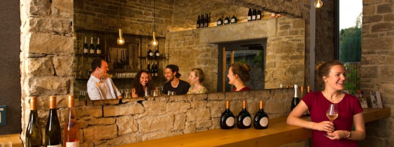 nachhaltige unterkuenfte in deutschland urlaub in der natur auf dem land am fluss ruhig wein bed and breakfast villa sommerach denkmalschutz weinbar rezeption