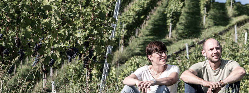 weingut idler bio appartment biologisches weingut remstal weinregion mondholz zirbenholz natuerliche materialien moderne architektur weinberge wandern radfahren kanufahren kultur weinarchitektur urlaubsarchitektur laura marcel weinreben