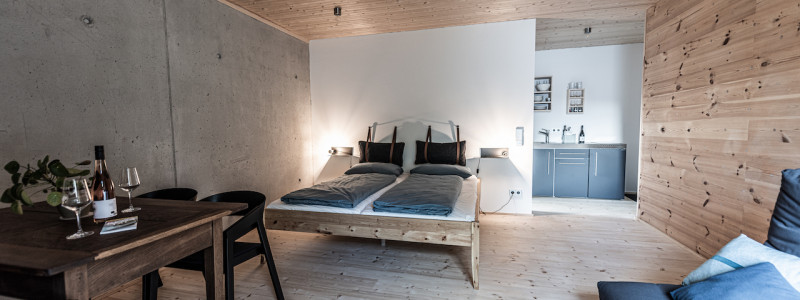 weingut idler bio appartment biologisches weingut remstal weinregion mondholz zirbenholz natuerliche materialien moderne architektur weinberge wandern radfahren kanufahren kultur weinarchitektur urlaubsarchitektur tisch schlafsofa bett kueche holzdecke holzwand