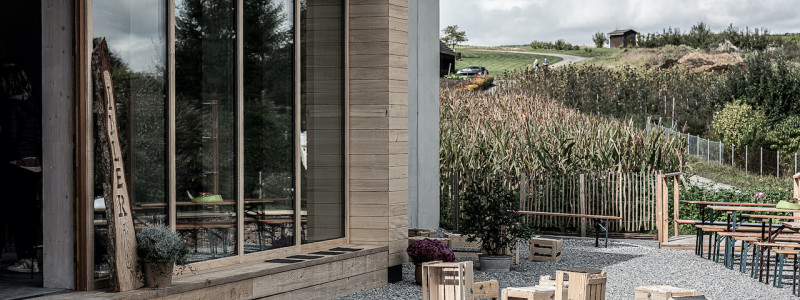 weingut idler bio appartment biologisches weingut remstal weinregion mondholz zirbenholz natuerliche materialien moderne architektur weinberge wandern radfahren kanufahren kultur weinarchitektur urlaubsarchitektur aussenaufnahme weingut